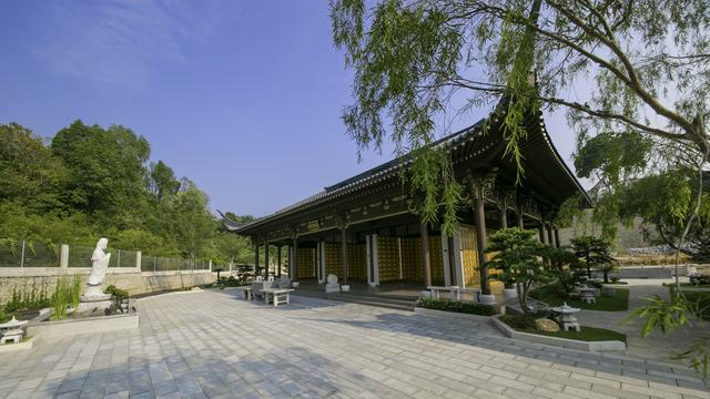 E 座怀德院外观，旁边有柳树